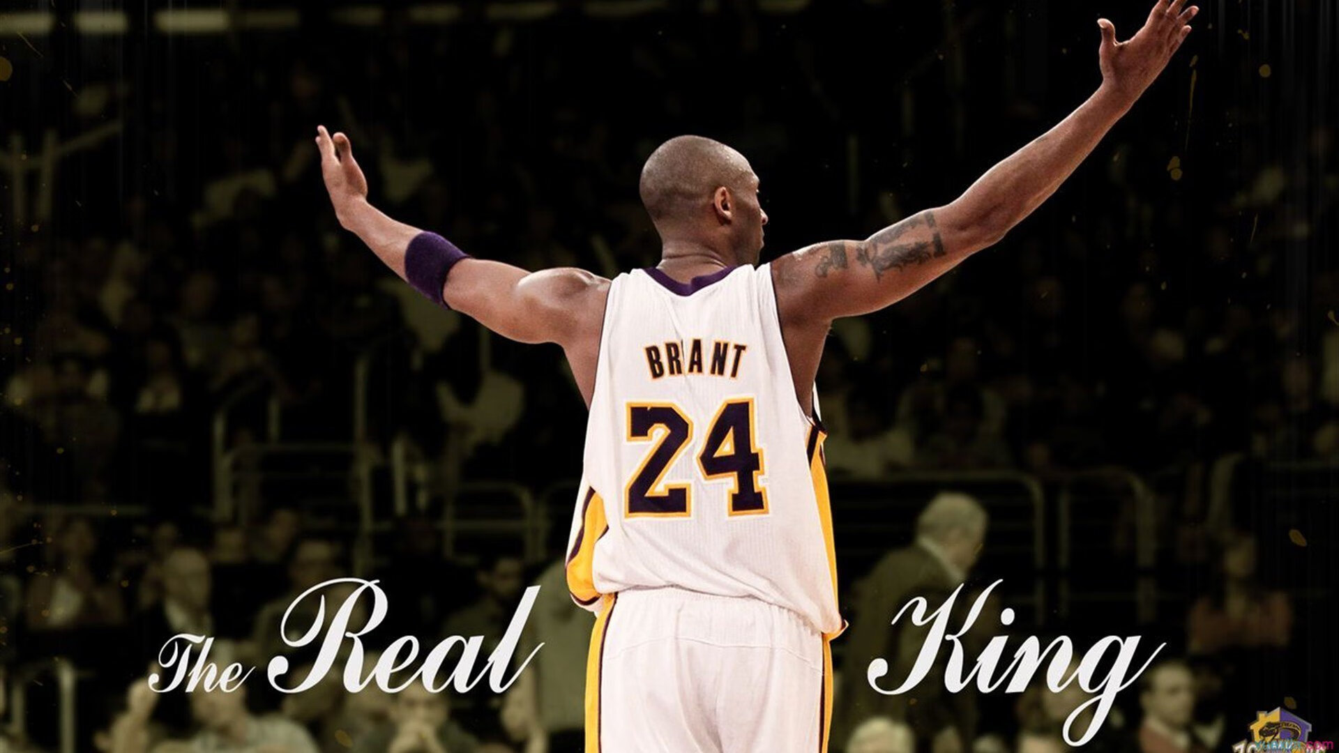 从广厦战术压制到武切维奇接管，团队体系与个人英雄主义的双重奏